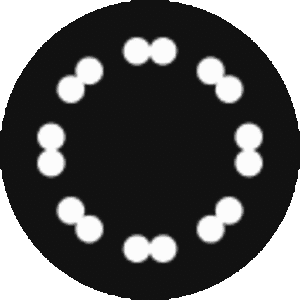 Acorn logo