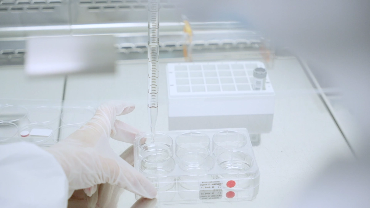 stem cell trays in a labratory