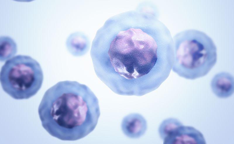 Stem Cells 101