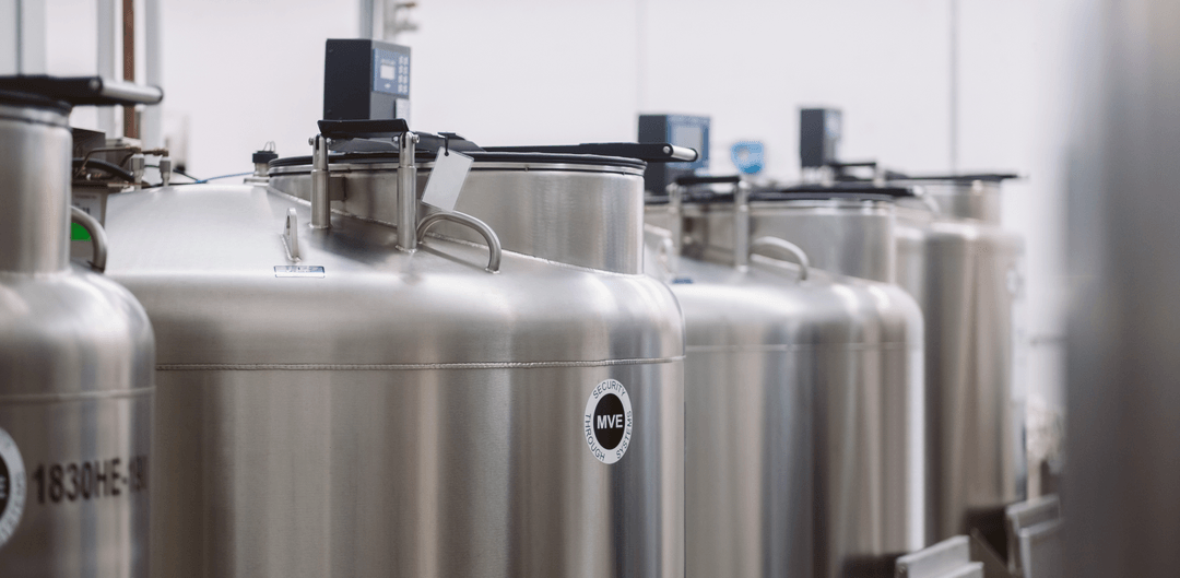 Biobanking: Everything You Need to Know About Current Uses of Personal Cell Cryopreservation