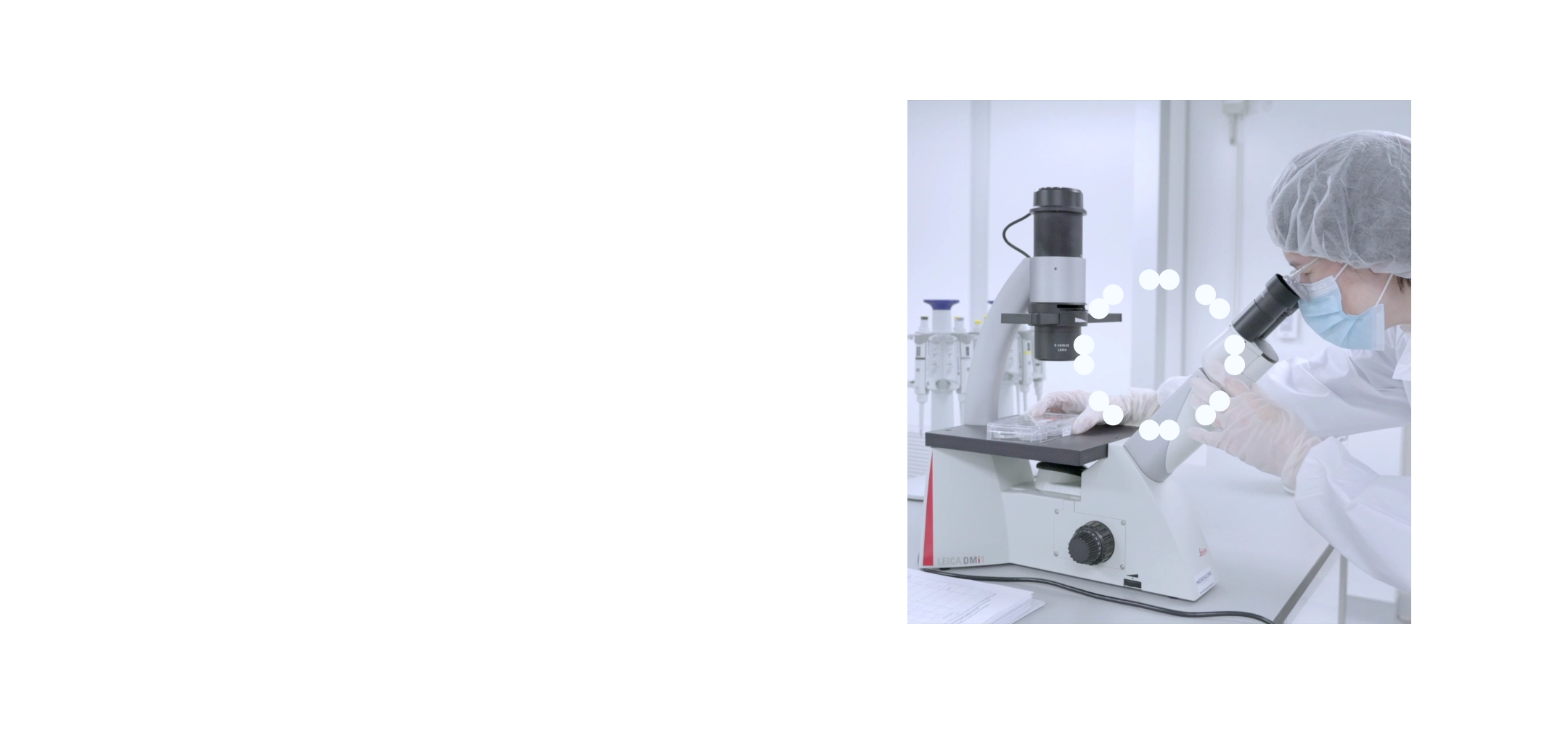 Fast Company recognition banner